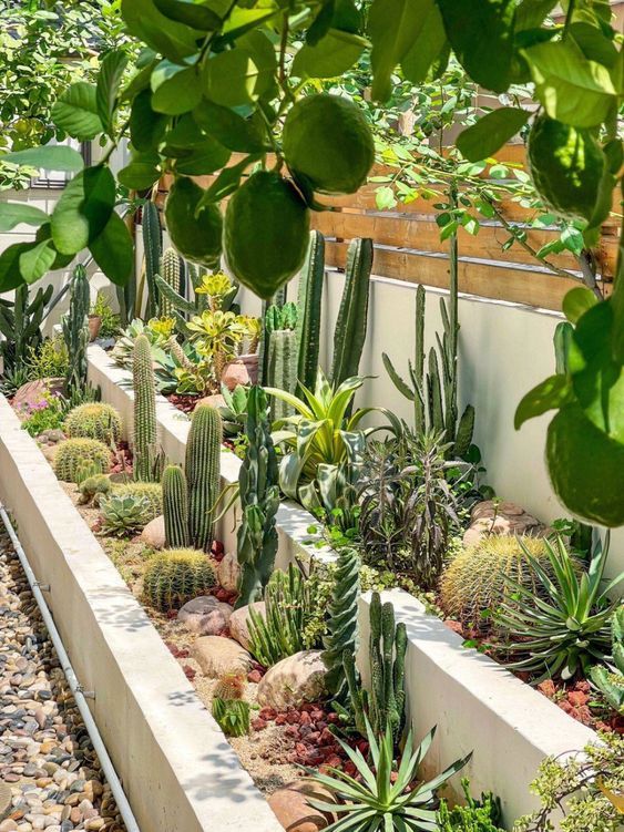 nhà đẹp bmt
Thiết kế nhà Buôn Ma Thuột: Sống mát giữa cao nguyên nắng gió
Giải pháp thiết kế nhà ở BMT
chi phí thấp với thiết kế nhà tại Buôn Ma Thuột
thiết kế nhà vườn bmt